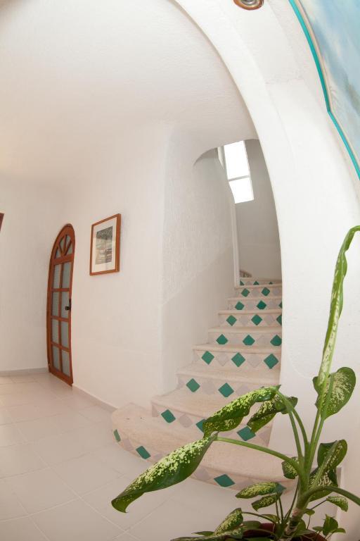 Villas Flamingo Акумаль Номер фото